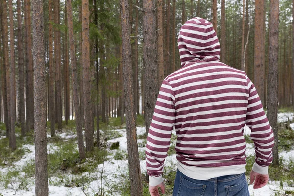 a man in a jacket with a hood from his back against the background of the forest