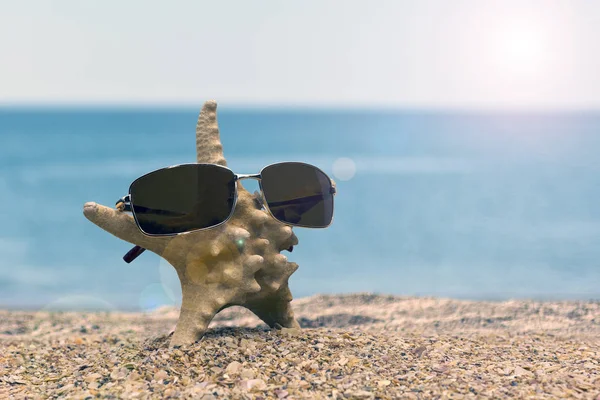 Tropik bir plajın kumlarında denizyıldızı ve güneş gözlüğü
