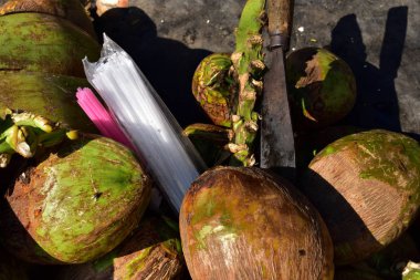 Yeşil Hindistan cevizi, plastik saman ve Hindistan cevizi kesici. fotoğrafta bir di