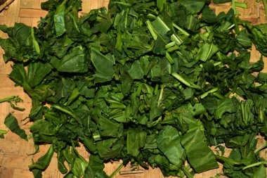 Ispanak, yapraklı yeşil sebze. Bilimsel olarak Spinacia oleracea gibi olarak bilinen.