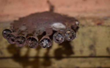 eski bir paslanmış çelik ile küçük çan şeklinde güneş yapısı yapılmış. insanlar asmak bu onun ön kapının inanıyorlar çünkü onun eve kötülüklerden korumak