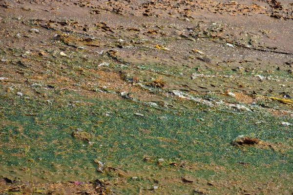 Una superficie intonacata di una diga sulla quale sta passando l'acqua. Le alghe o muschio su quella superficie creano una bella immagine strutturata . — Foto Stock