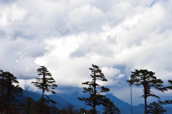 Silhouette de pins du col de Dochula, Punakha, Bhoutan — Photo