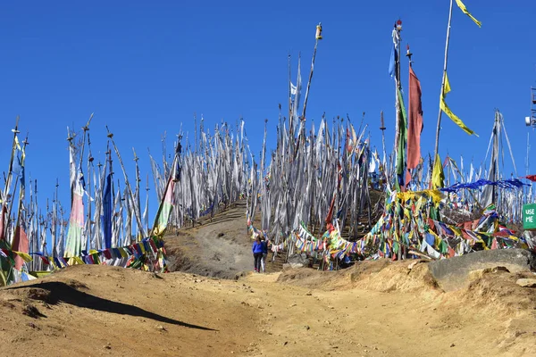 Bandeiras de oração no Chelela Pass, Butão — Fotografia de Stock