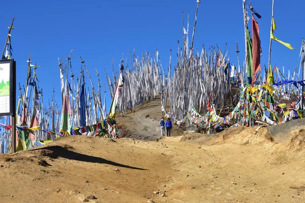 Prayer Flags at Chelela Pass, Bhutan — Stock Photo, Image