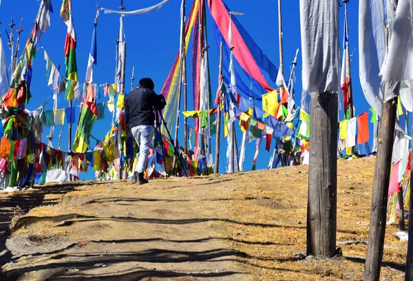 A photographer taking photos at Chelela PassThe Highest point between Paro and Haa valley Altitude 3988 mtrs. — Stock Photo, Image