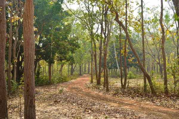 Pequena estrada de terra na selva de Jhargram, um ponto turístico de natureza em West Brnga, Índia . — Fotografia de Stock