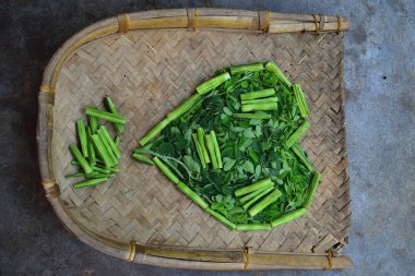 Moringo Ağaç Yaprakları ve bu bitkilerin davul meyve