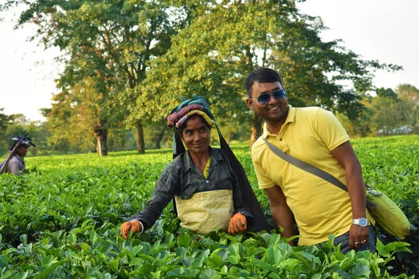 ダージリンのティーガーデンで手で茶葉を拾うティーワーカーと観光客のポーズ — ストック写真