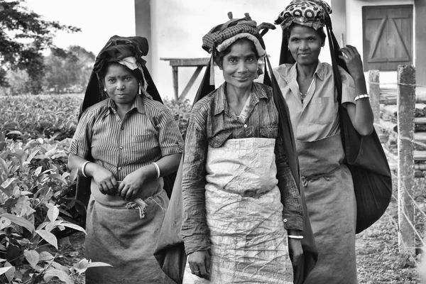 仕事を終えたばかりの3人の貧しい女性の茶摘み者の白黒クローズアップの肖像画。彼らはカメラを見て微笑む — ストック写真
