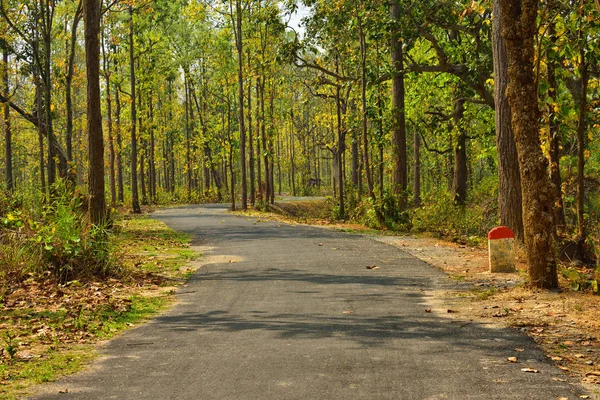 small road on the jungle of Jhargram, a nature tourist spot in W