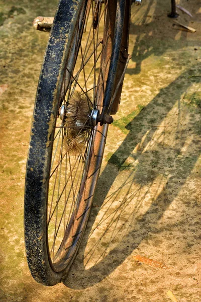Старые велосипедные колеса. Узкие изношенные шины. Спицы и обод крупным планом . — стоковое фото