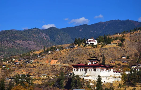 Paro Rinpung Dzong és Múzeum zöld rizsföldek. — Stock Fotó