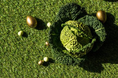top view of shiny Easter eggs and savoy cabbage on green grass   clipart