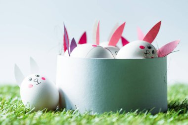 beyaz üzerinde komik tavşan yüzleri ve kağıt kulakları ile Ester yumurtaları ile kutu