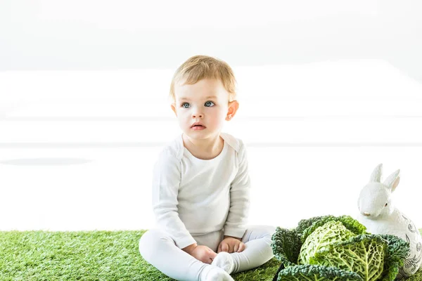 Adorable Kid Sitting Savoy Cabbage Decorative Rabbit White — Stock Photo, Image