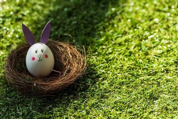 Chicken egg with funny bunny face and paper ears in nest on green grass — Stock Image Chicken Egg Funny Bunny Face Paper Ears Nest Green Grass Stock Photo