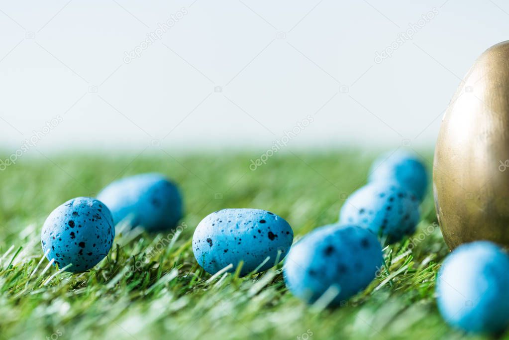 selective focus of golden chicken egg, and blue quail eggs on green grass surface