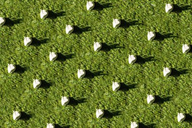top view of decorative white rabbits on green grass surface  clipart