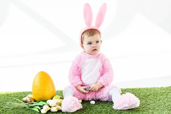 Adorable kid in funny bunny costume sitting near colorful chicken eggs, tulips and yellow ostrich egg isolated on white — Stock Image Adorable Kid Funny Bunny Costume Sitting Colorful Chicken Eggs Tulips Stock Image
