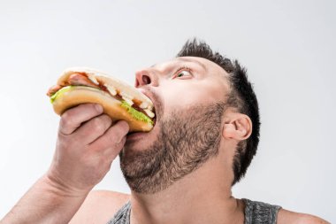 close up view of overweight man in tank top eating hot dog isolated on white clipart