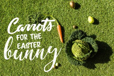 havuç üst görünümü, savoy lahana ve Paskalya tavşanı yazı için havuç ile yeşil çim üzerinde Paskalya yumurtası boyalı