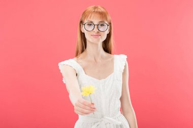 sarı çiçek tutan beyaz elbiseli güzel kızıl saçlı genç kadın ön görünümü ve pembe izole kamera bakıyor
