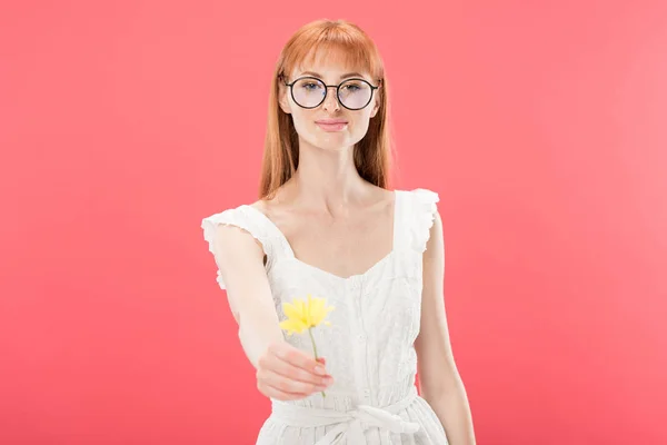 Vista Frontal Hermosa Pelirroja Joven Vestido Blanco Sosteniendo Flor Amarilla —  Fotos de Stock