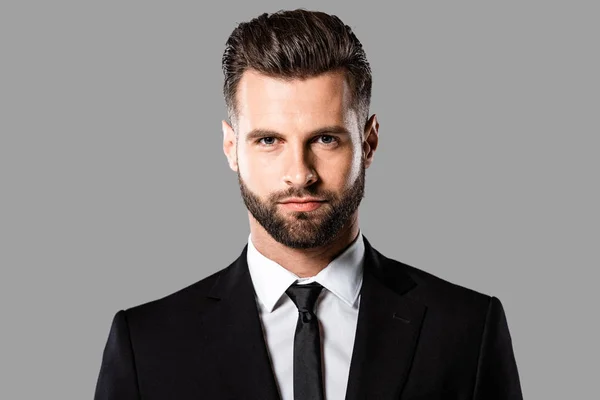 Serious Handsome Businessman Black Suit Isolated Grey — Stock Photo, Image