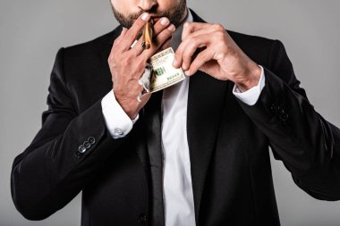 gri izole dolar banknot yanan puro kadar aydınlatma siyah takım elbiseli zengin işadamının kırpılmış görünümü