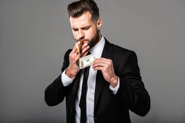 gri izole dolar banknot yanan gelen puro kadar yanan zengin işadamı