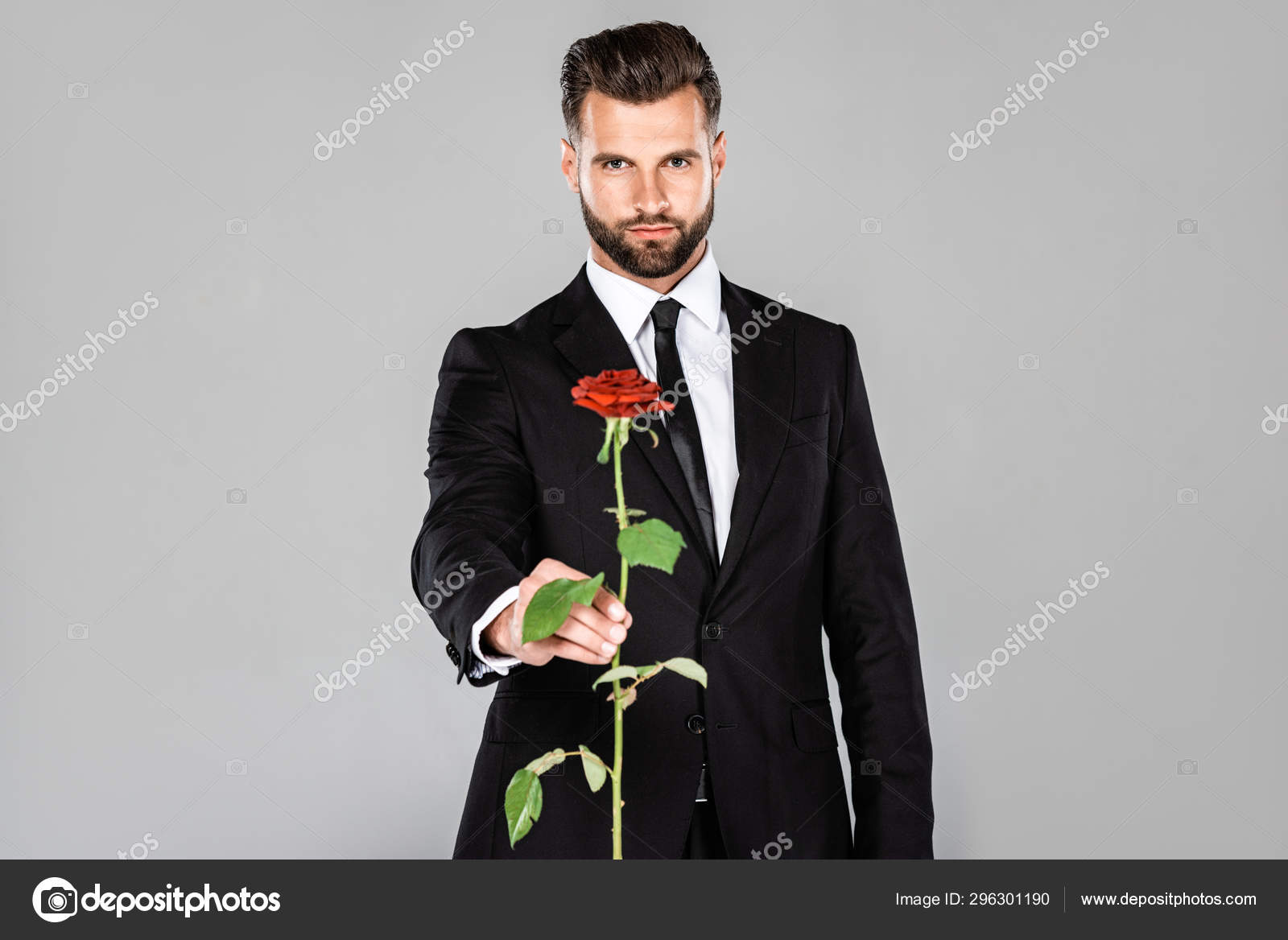 Elegant Handsome Businessman Black Suit Gifting Red Rose Isolated Grey
