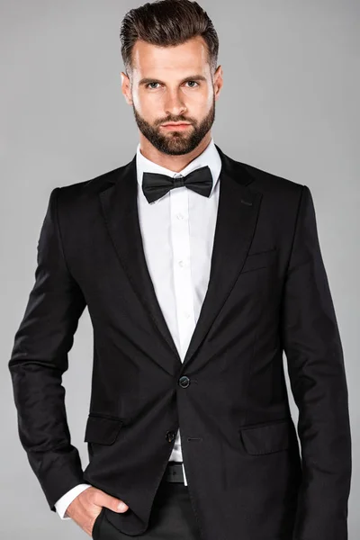 Elegante Uomo Completo Nero Papillon Con Mano Tasca Isolato Grigio — Foto Stock