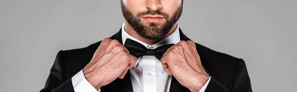 Corte Vista Homem Elegante Terno Preto Fixação Laço Isolado Cinza — Fotografia de Stock