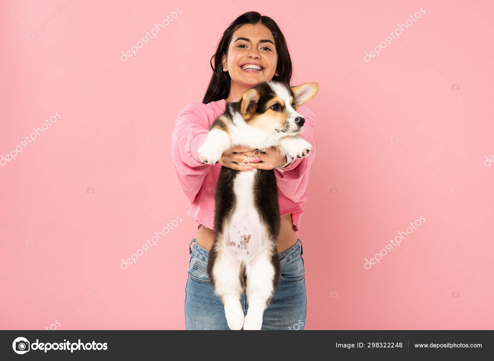 Happy Attractive Girl Holding Welsh Corgi Puppy Isolated Pink