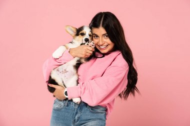 güzel gülümseyen kız Galce Corgi köpek yavrusu tutan, pembe izole