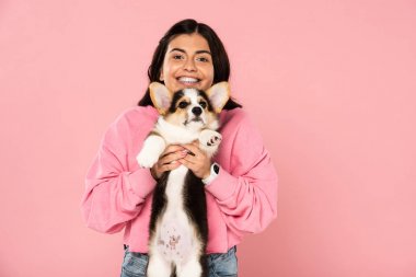 neşeli kız Galce Corgi köpek yavrusu tutan, pembe izole