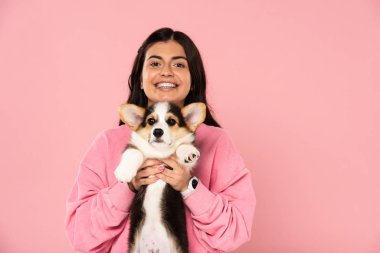 güzel gülümseyen kız Galce Corgi köpek yavrusu tutan, pembe izole
