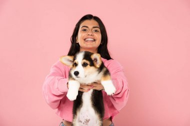galli Corgi köpek yavrusu tutan gülümseyen kız, pembe izole