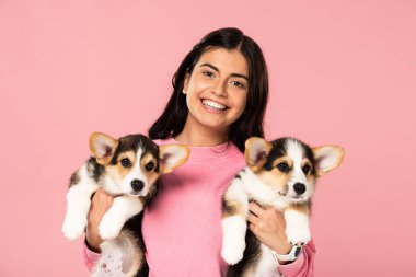 güzel kadın pembe izole sevimli Galce Corgi yavru tutan