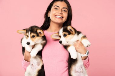 güzel gülümseyen kadın Galce Corgi yavru tutan, pembe izole