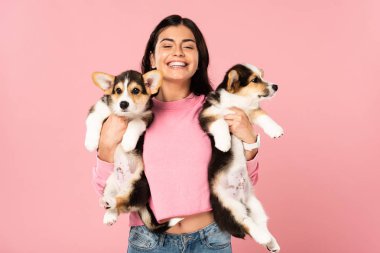 güzel gülümseyen kadın Galce Corgi yavru tutan, pembe izole