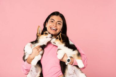 neşeli genç kadın Galce Corgi yavru tutan, pembe izole