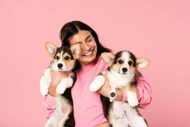 mutlu kadın Galce Corgi yavru tutan, pembe izole