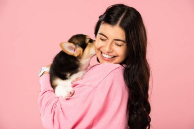 neşeli kadın Galce Corgi köpek yavrusu tutan, pembe izole