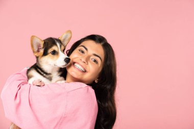 güzel gülümseyen kız Galce Corgi köpek yavrusu tutan, pembe izole