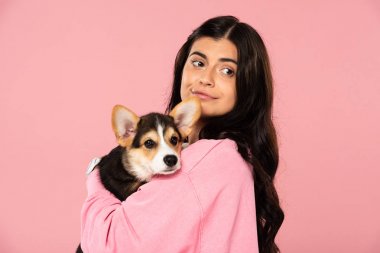 galli Corgi köpek yavrusu tutan gülümseyen kadın, pembe izole