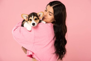 sevimli Corgi köpek yavrusu tutan mutlu genç kadın, pembe izole