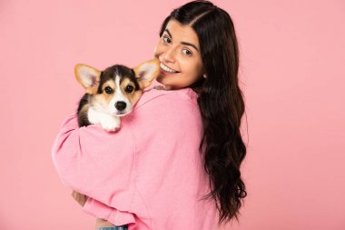 güzel kadın Galce Corgi köpek yavrusu tutan, pembe izole