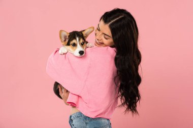 sevimli Corgi köpek yavrusu tutan gülümseyen kadın, pembe izole